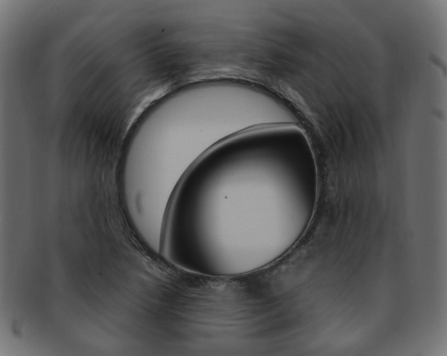 X0000092241218200709140956