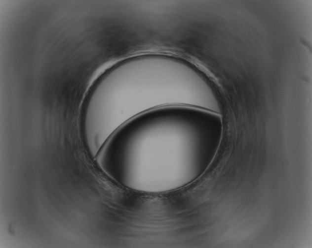 X0000092241222200709140956