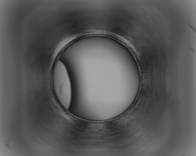 X0000092241223200709140956