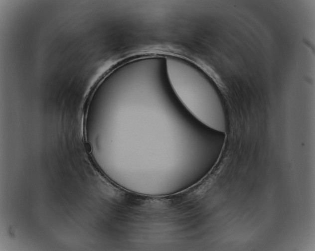 X0000092241224200709140956