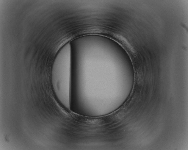 X0000092241225200709140956