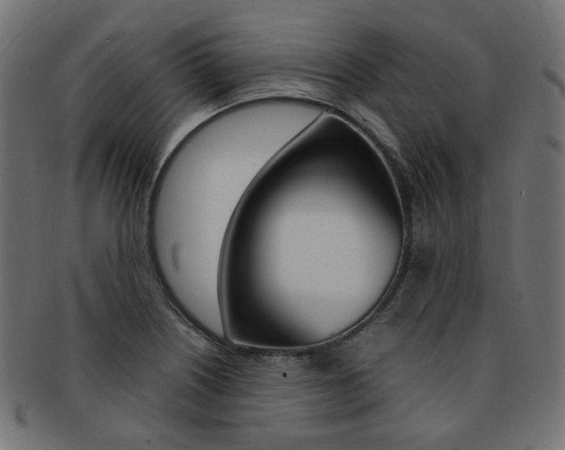 X0000092241226200709140956