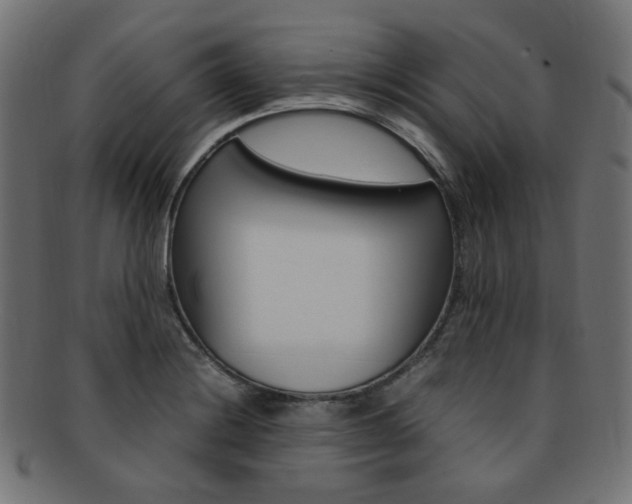 X0000092241228200709140956