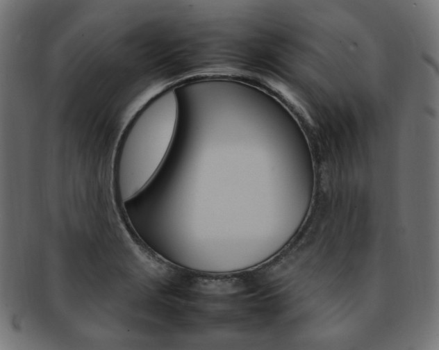 X0000092241229200709140956