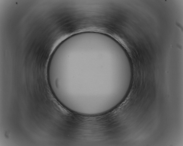 X0000092241230200709140956