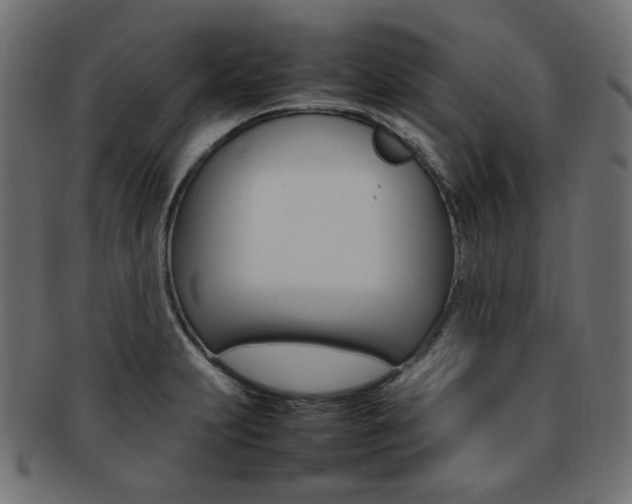 X0000092241231200709140956