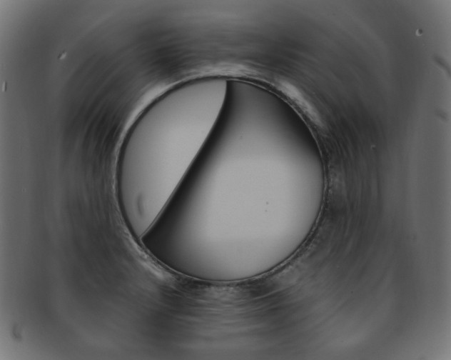 X0000092241232200709140956