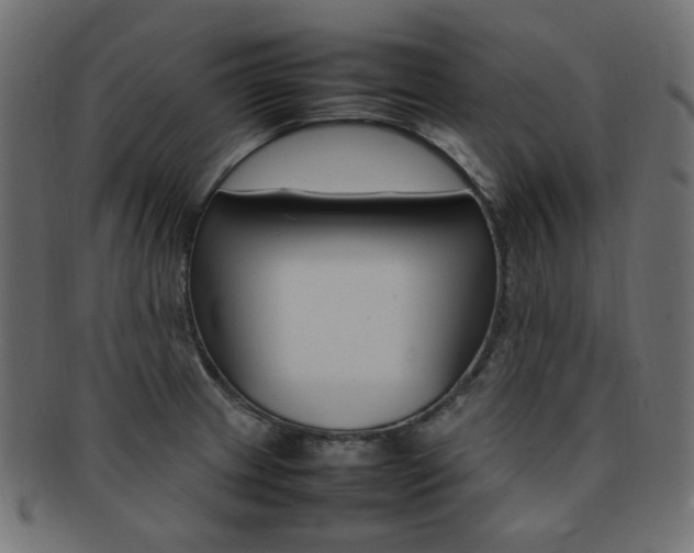 X0000092241233200709140956