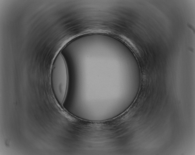 X0000092241236200709140956