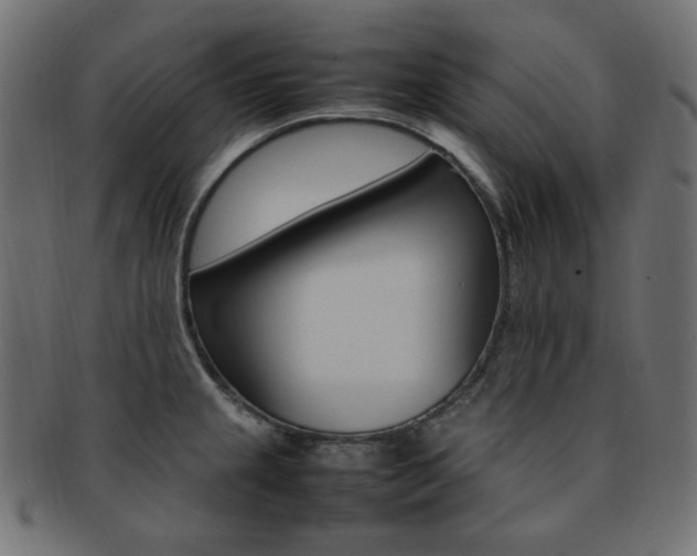 X0000092241237200709140956