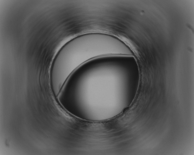 X0000092241238200709140956