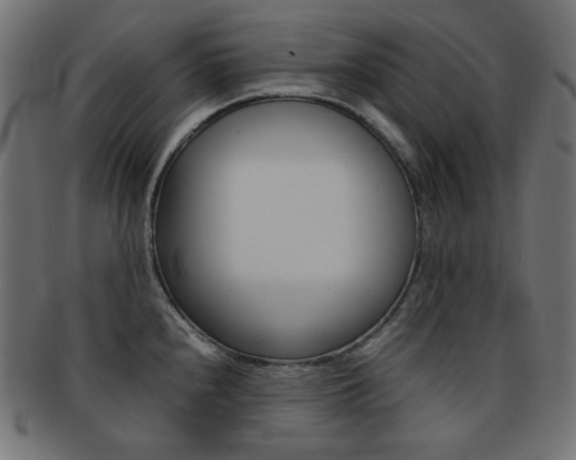X0000092241240200709140956