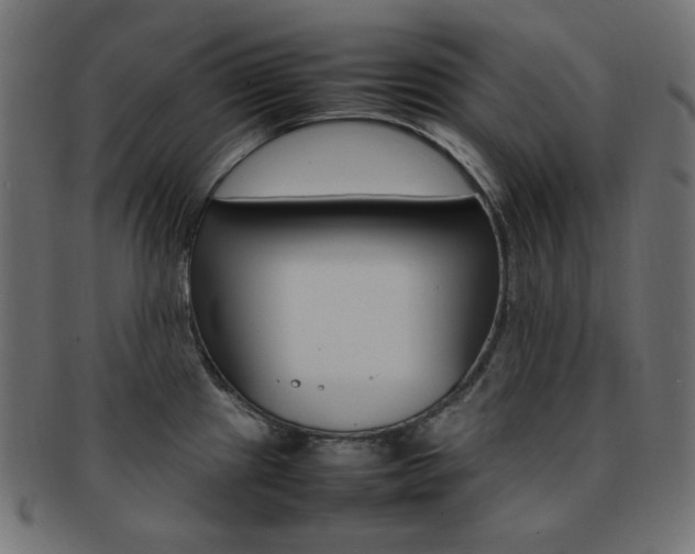 X0000092241241200709140956