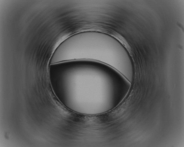 X0000092241242200709140956