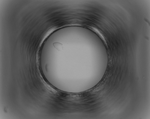 X0000092241243200709140956