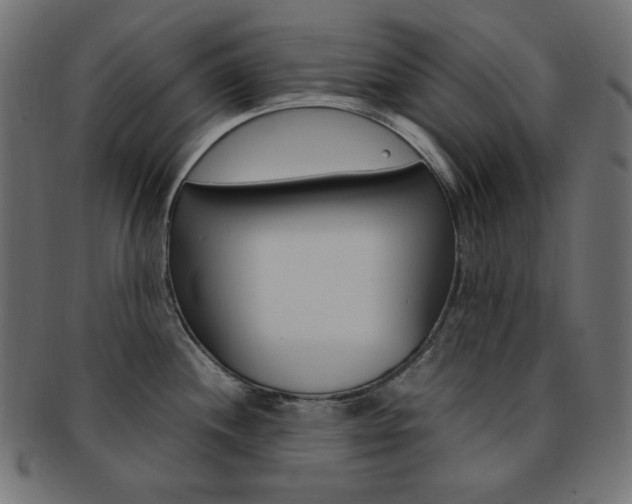X0000092241244200709140956