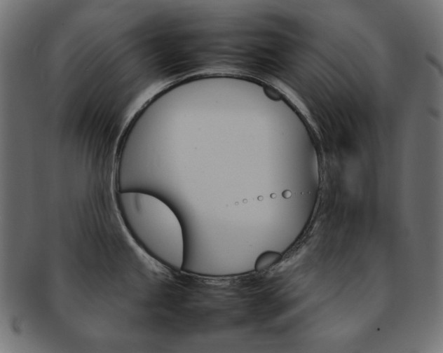 X0000092241245200709140957