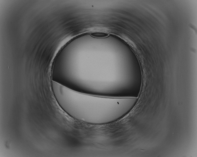 X0000092241248200709140957