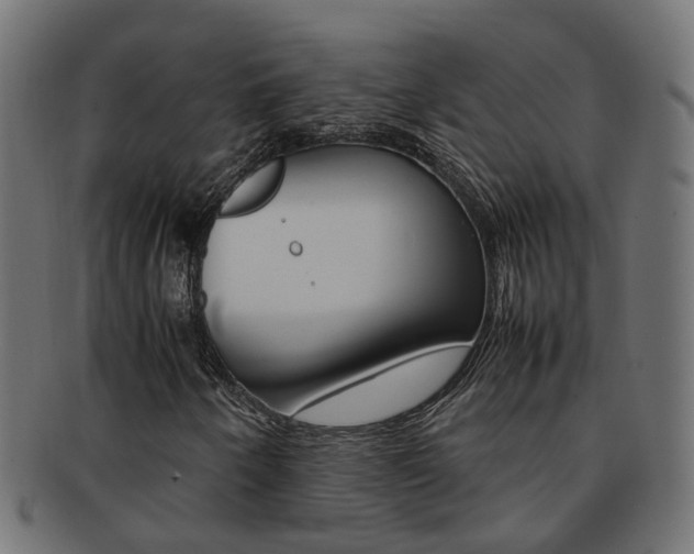 X0000092241250200709140956