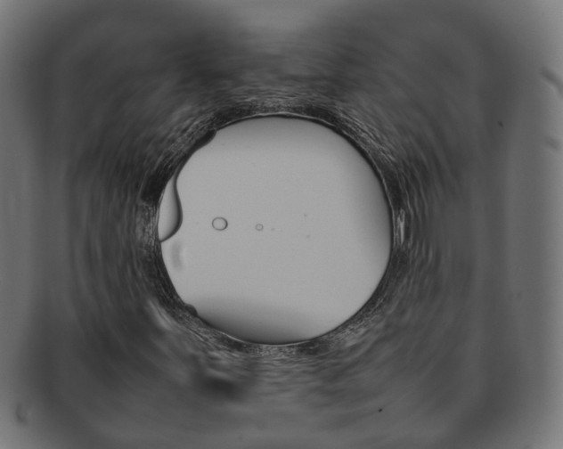 X0000092241251200709140956