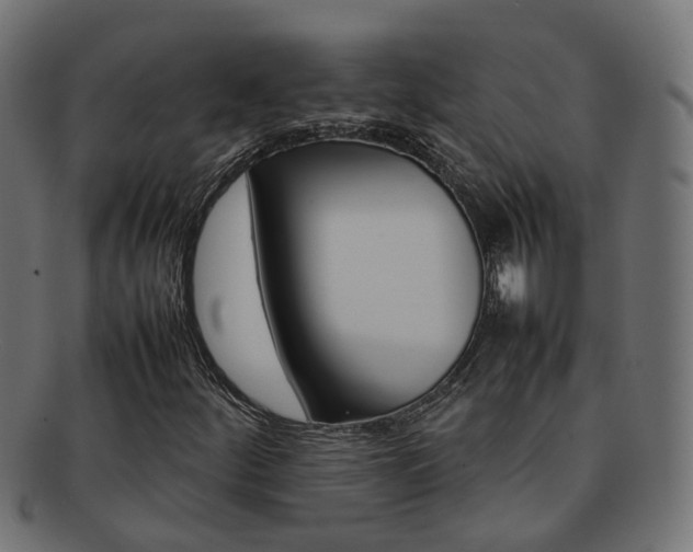 X0000092241252200709140956