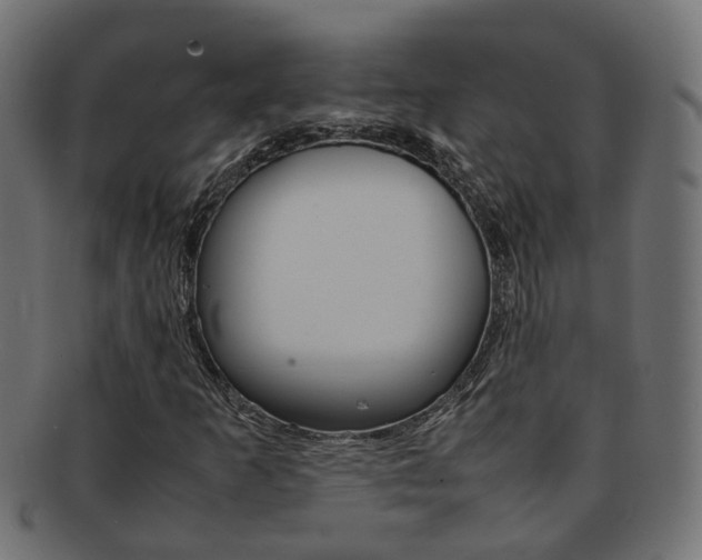 X0000092241253200709140956