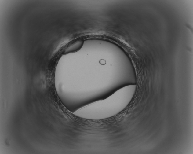 X0000092241255200709140956