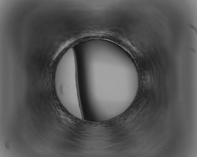 X0000092241256200709140956
