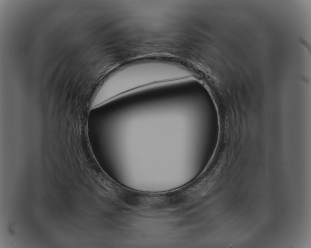 X0000092241257200709140956