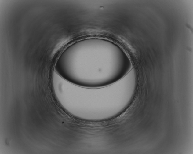 X0000092241261200709140956