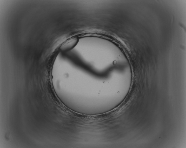 X0000092241263200709140956