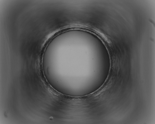X0000092241264200709140956