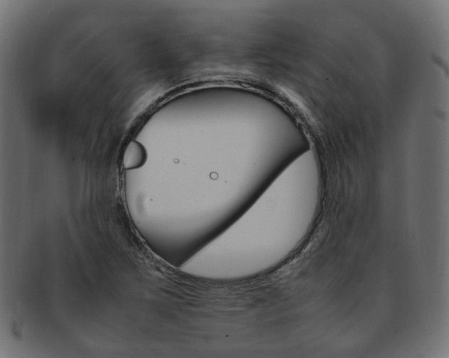 X0000092241267200709140956