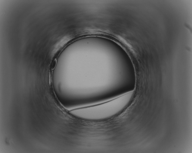 X0000092241269200709140956