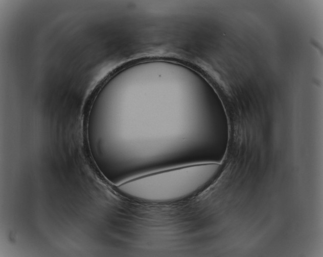 X0000092241270200709140956
