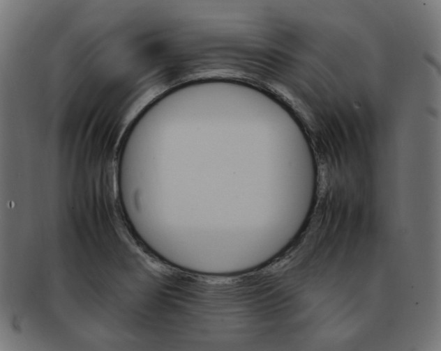 X0000092241274200709140956