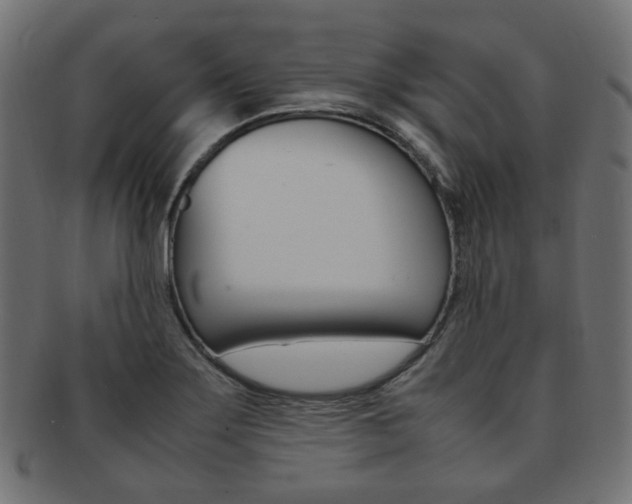 X0000092241275200709140956