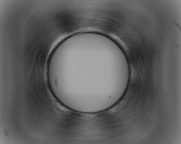 X0000092241278200709140956