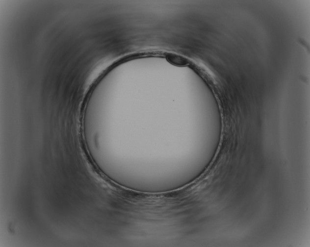 X0000092241279200709140956