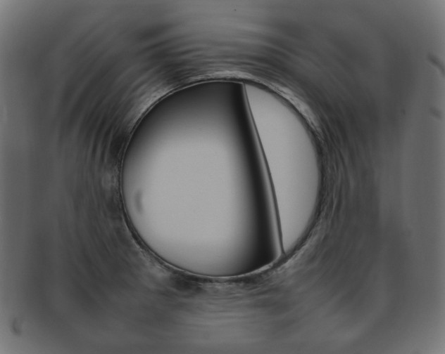 X0000092241281200709140956