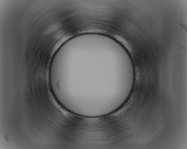 X0000092241282200709140956