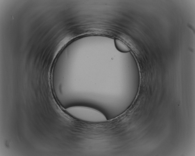 X0000092241283200709140956