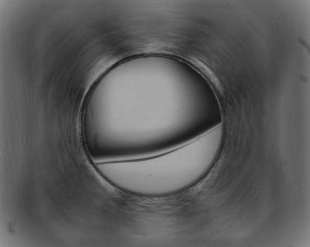 X0000092241285200709140955