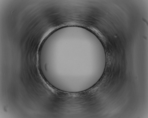 X0000092241286200709140955