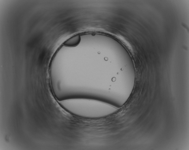 X0000092241287200709140955