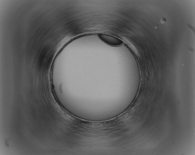 X0000092241291200709140955