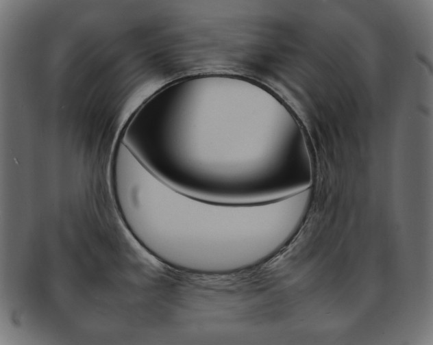 X0000092241293200709140955
