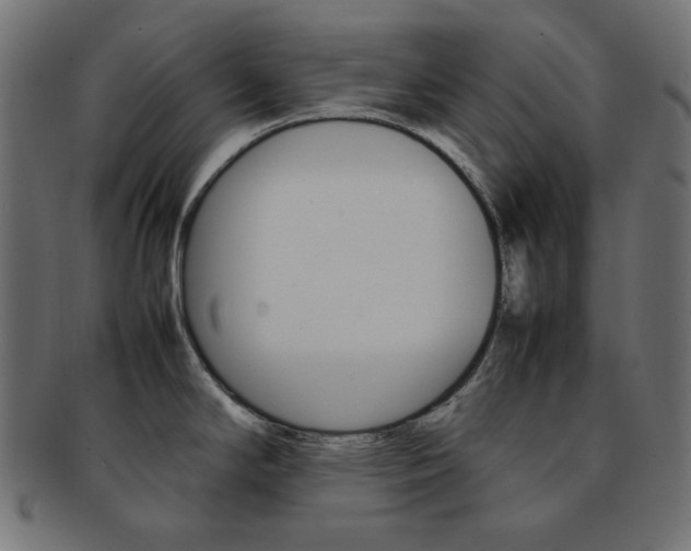 X0000092241294200709140955