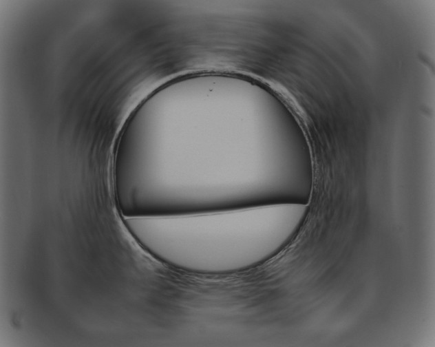 X0000092241295200709140955