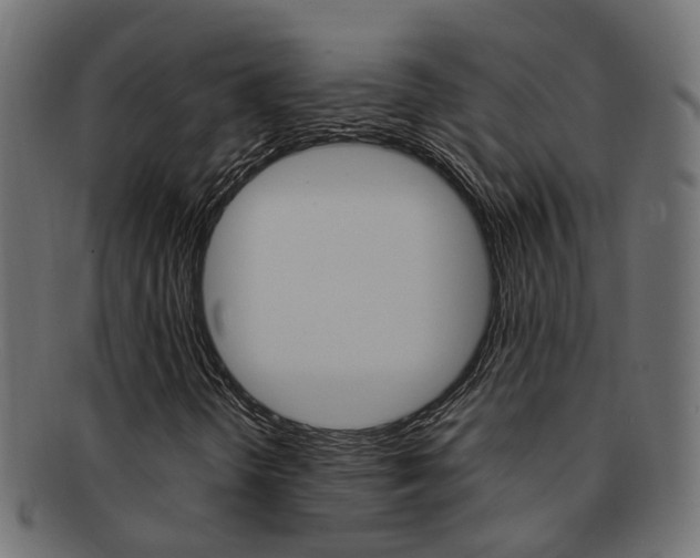 X0000092241298200709140955